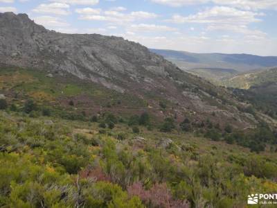 El Ocejón-Reserva Nacional Sonsaz;piedra escrita cenicientos puente el pilar donde nace el rio jara